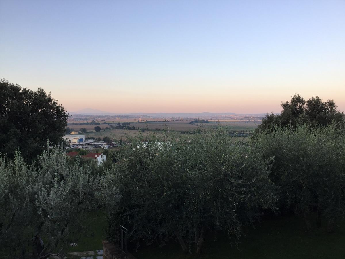 Agriturismo Borgo Tra Gli Olivi Castiglion Fiorentino Extérieur photo